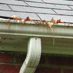 Image: Clogged Gutters