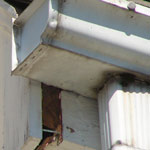 Image: Fascia Damaged by Clogged Gutters