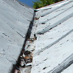 Image: Peeling Paint, Metal Roof